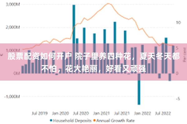 股票配资如何开户 院子里养四种花，夏天冬天都不怕，花大艳丽，好看又顽强
