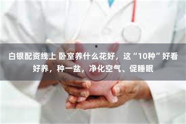 白银配资线上 卧室养什么花好，这“10种”好看好养，种一盆，净化空气、促睡眠