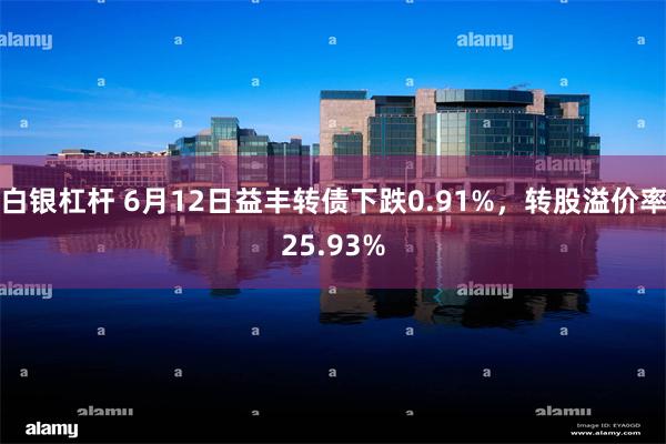 白银杠杆 6月12日益丰转债下跌0.91%，转股溢价率25.93%