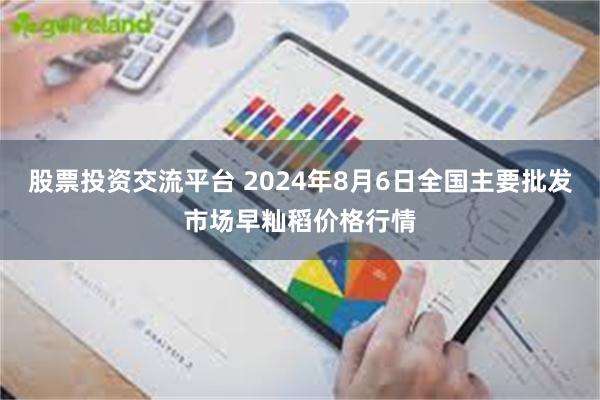 股票投资交流平台 2024年8月6日全国主要批发市场早籼稻价格行情