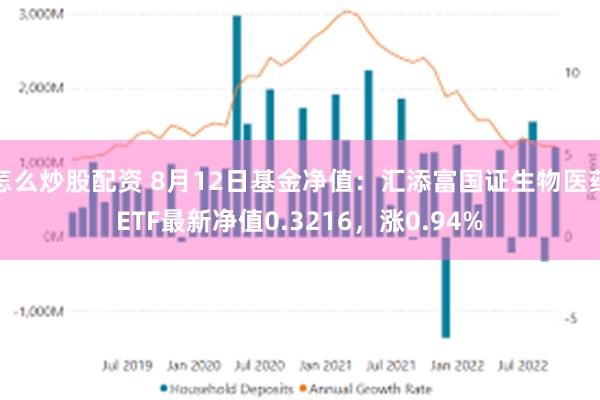 怎么炒股配资 8月12日基金净值：汇添富国证生物医药ETF最新净值0.3216，涨0.94%