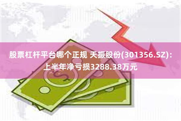 股票杠杆平台哪个正规 天振股份(301356.SZ)：上半年净亏损3288.38万元