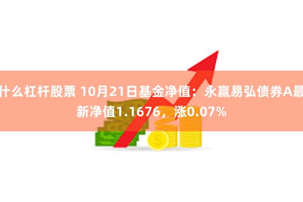 什么杠杆股票 10月21日基金净值：永赢易弘债券A最新净值1.1676，涨0.07%