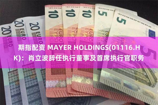 期指配资 MAYER HOLDINGS(01116.HK)：肖立波辞任执行董事及首席执行官职务