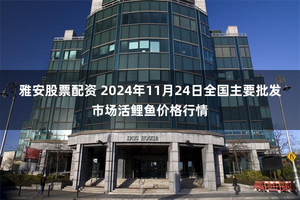 雅安股票配资 2024年11月24日全国主要批发市场活鲤鱼价格行情