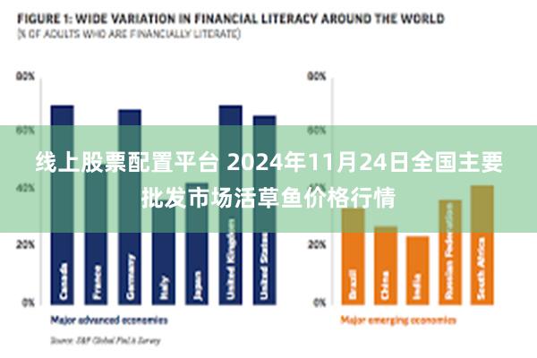 线上股票配置平台 2024年11月24日全国主要批发市场活草鱼价格行情