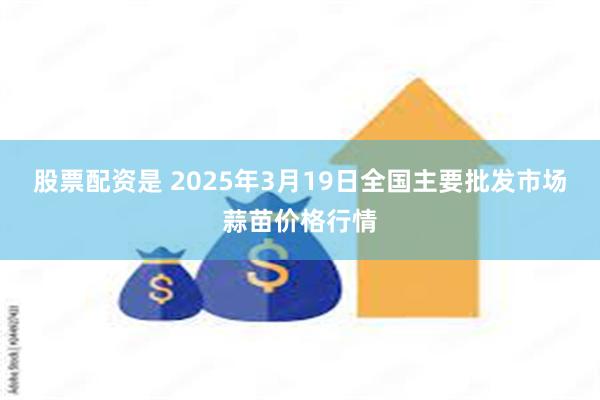 股票配资是 2025年3月19日全国主要批发市场蒜苗价格行情